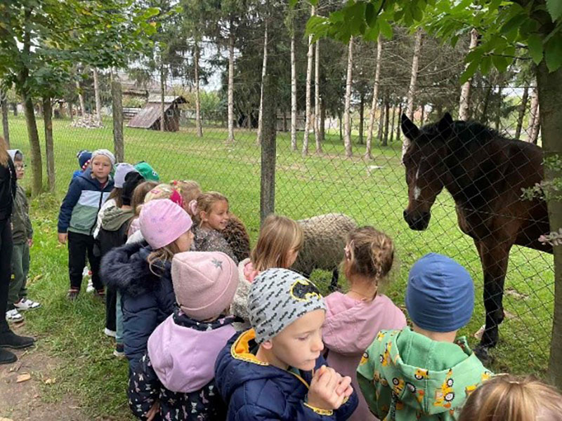 Razigrani listopad u Krijesnicama - Razigrani listopad u Krijesnicama
